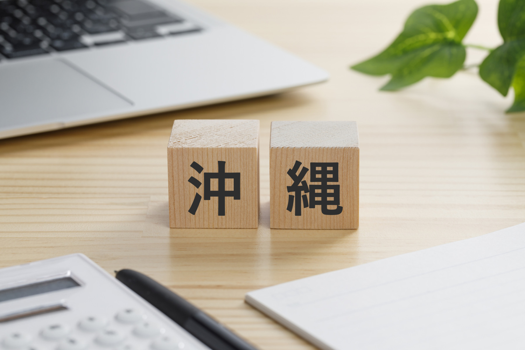 沖縄県・全国地方自治体様